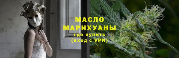 индика Михайловск