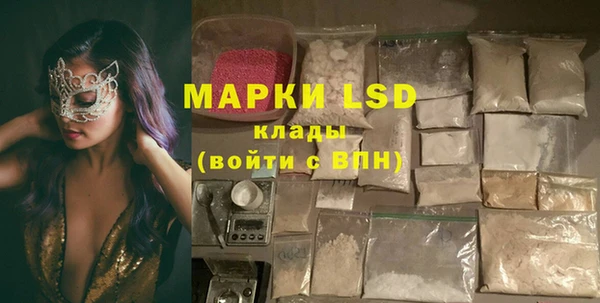 ПСИЛОЦИБИНОВЫЕ ГРИБЫ Михайлов
