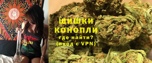 амф Вяземский