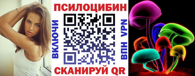 ОМГ ОМГ как войти  Певек  Галлюциногенные грибы Psilocybine cubensis 