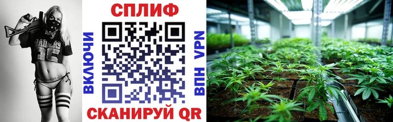 Канабис индика  Певек 